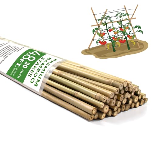 Bamboo Stakes,4.8FT Natural Bamboo Garden Stakes,BOVITRO 20Pcs Plant Stakes | Bamboo Sticks for Plant, Tomato, Plant Stakes for Indoor Outdoor Plants, Beans, Vegetable and Climbing Plants - size: 4.8Ft, Pack of 20
