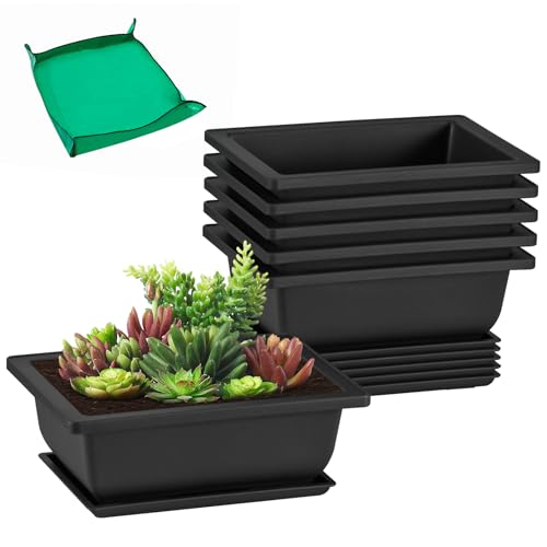 GROWNEER 6.5 Inch Bonsai Training Pots with Drainage Holes & Trays, 6 Packs - size: 6pcs/6.5x4.8in