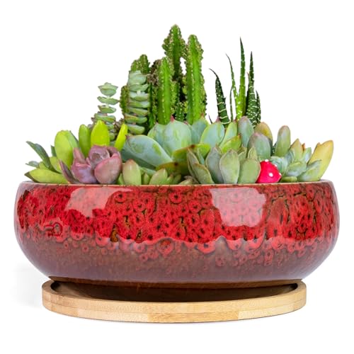 ARTKETTY Succulent Pots, 7.5 Inch Large Plant Pots with Drainage Tray - color: Red