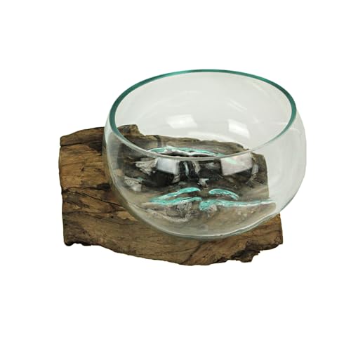 Decorative Vase, 10 Inch Wide-Mouth Molten Glass on Teak Driftwood