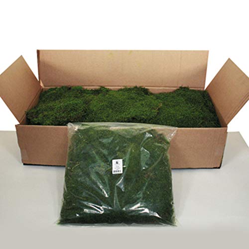 Vickerman Box Green Moss, Sheet - 6.6 Lbs Bulk Case, Preserved - size: 6.6lb Box