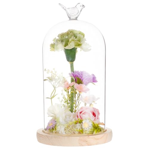 BENECREAT 4.8x9.0inch Glass Display Dome Cloche with Bird Top Handle, Everlasting Flower Glass Cover with Wooden Base for Specimens Plants DIY Decor