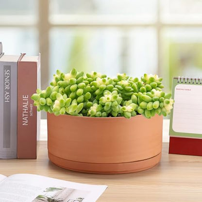 JUXYES 10 Inch Shallow Terracotta Pots with Holes and Saucers for Succulent | Built-in Drainage Hole, Wide Shallow Planter Clay Flower Pots for Indoor & Outdoor, Planter for Succulent, Cacti, Bonsai - size: 10 Inches