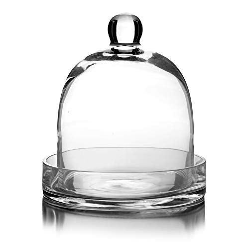 CYS EXCEL Glass Bell Dome Cloche with Glass Base (H:8" W:7") | Multiple Size Choices Terrarium Jar Plant Cover | Cake Dessert Display
