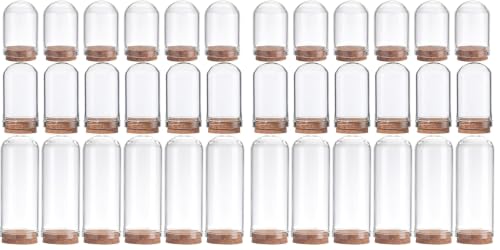 SUNNYCLUE 12Pcs Cloche Bell Jar Display Case Glass Display Dome with Wood Base 1.44/1.75/2.82 inch Small Glass Bottles Decorative Jars for Flower Storage Shells Party Favor Home Decor (Pack of 2) - size: 12pcs 33/43/70mm Cloche Bell Jar (Pack of 2)