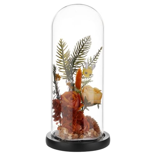 BENECREAT Arch Shape Glass Cloche with Wood Base, 9.84x3.74inch Clear Glass Display Dome for Home Decor, Bell Jar Display Case to Showcase Plants Collectibles Keepsakes, Black - color: Black, size: Inner: 9.84x3.74 Inch
