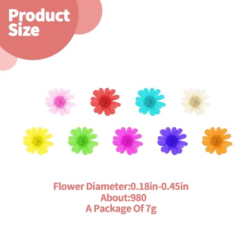 1000 PCS Mini Dried Flowers for Resin, Small Dried Flowers for Crafts, Mini-Dried Flower Bulk for Resin Art, Jewelry, Candle Making, Soap Making and DIY Crafts
