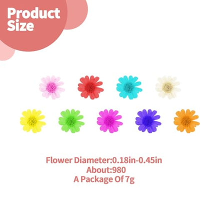 1000 PCS Mini Dried Flowers for Resin, Small Dried Flowers for Crafts, Mini-Dried Flower Bulk for Resin Art, Jewelry, Candle Making, Soap Making and DIY Crafts