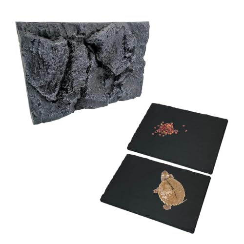 Tfwadmx Reptile Tank Background Board (17" L*12" W*1" H) &2 Pcs Reptile Basking Platform (12" L*6" W)