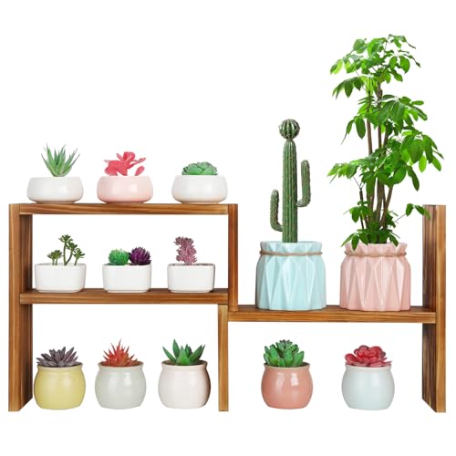 5 Tiered Small Window Plant Shelf,Wooden Desktop Plant Stand Indoor