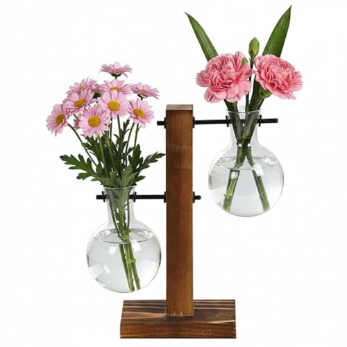 Plant Propagation Station with 2 Glass Vases & Wood Stand, Hydroponic Planter Terrarium for Home Office Desk Decoration, Propagation Vases for Plants & Cuttings, Gift for Plant Lovers - color: 2 Bulb C