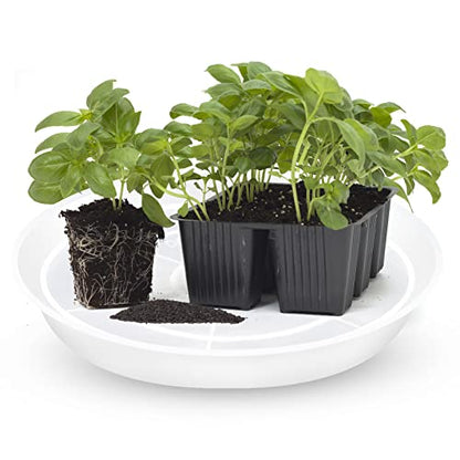 OUPSAUI 6 8 10 Inch Plant Saucer Pot Tray, 6 Pack Clear Plant Saucers for Indoors and Outdoors, Large Plastic Dish Suacer Water Drip Tray for Potted Plants Flowers (6 8 10 Inches) - size: 6 8 10 Inches