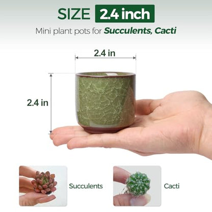T4U Mini Succulent Pots, Small Ceramic Planters, Retro Gift Set of 6 - size: 2.4"*2.4"