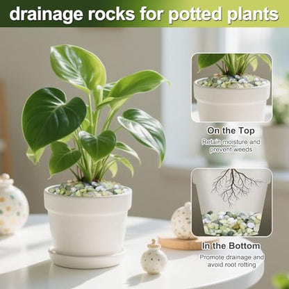 2.5lb Small Pebbles for Indoor Plants, 3/8 Inch Decorative Jade Rocks | Natural Polished Stones for Lucky Bamboo, Plants Pot, Succulent, Vase, Cactus, Landscaping - size: 2.5lb