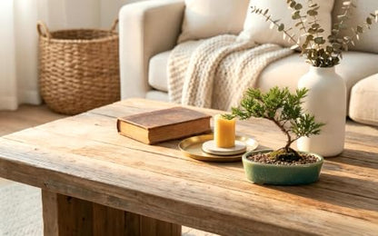 Ceramic Bonsai Pots, 6.3 Inch, 3-Pack
