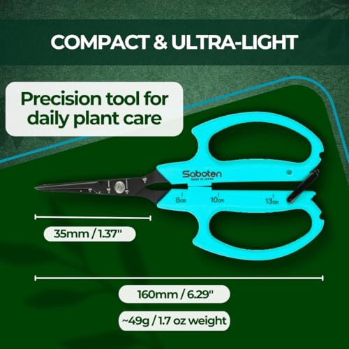 Saboten Japanese Harvesting Shears, Magnetic Springless, Fine-Tip Angled Blade, Fluorine-Coated Steel, Non-Slip Grip, Safety Lock, Made in Japan (Turquoise) - color: Turquoise