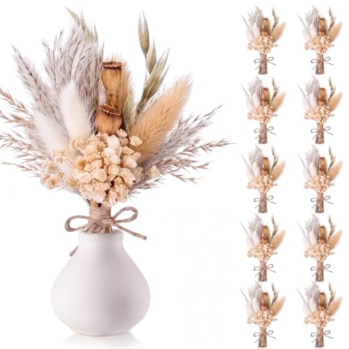 Nuanchu 12 Pcs Mini Dried Flower Bouquet 6" Natural Small Dried Flower with Stem for Birthday DIY Crafts Scrapbook Vase Boho Party Plates Cake Bridesmaid Gifts Card Envelope Decor(Classic) - style: Classic