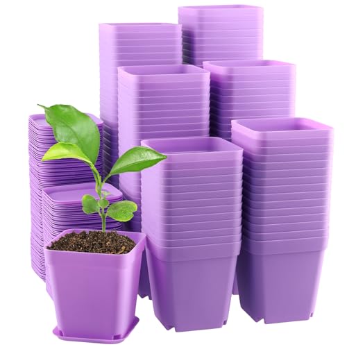 PINGEUI 150 PCS 3 Inches Plastic Square Nursery Pots, Colorful Plant Pot with Trays, Mini Seeding Flower Nursery Pots for Office, Indoor