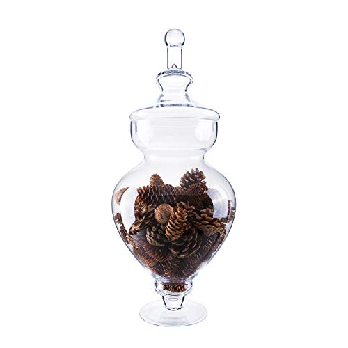Glass Apothecary Jars with Lids for Candy Buffet - Apothecary Jars for Bathroom, Candy Bar, Kitchen, (Height: 22", Diameter: 9.5")