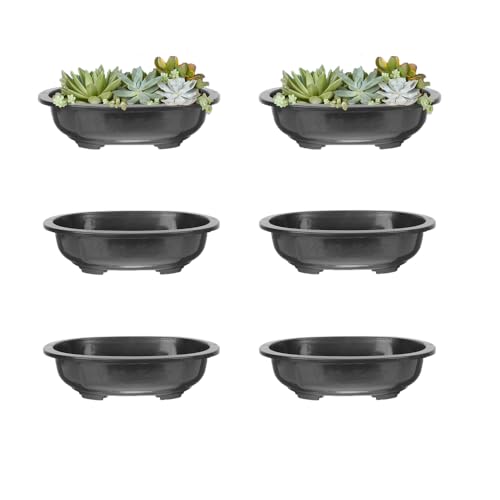 DOITOOL 6 Pack 12Inch Plant Pots Bonsai Pots with Drainage Hole Shallow Planter Plastic Succulent Flower Planter Indoor and Outdoor Plants