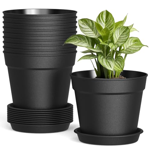 SwinDuck 10 Pack 6 Inch Plant Pots with Drainage and Saucers, Black Plastic Flower Pots for Indoor and Outdoor Plants, Stackable Nursery Planters for Houseplants and Herbs, Black - color: Black, size: 10-Pack