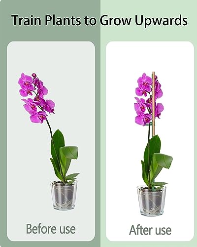 30 Pcs 16 Inch Bamboo Stakes Plant Support with Ties for Potted Plants - size: 16 INCH-30 PACK & Ties
