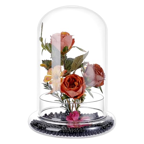PH PandaHall Glass Dome Cloche 5.5x8.46inch Clear Terrarium Planter with Base Tabletop Display Terrarium for Indoor Plants Succulents Cactus Tabletop Home Decoration - size: 5.5x8.46inch