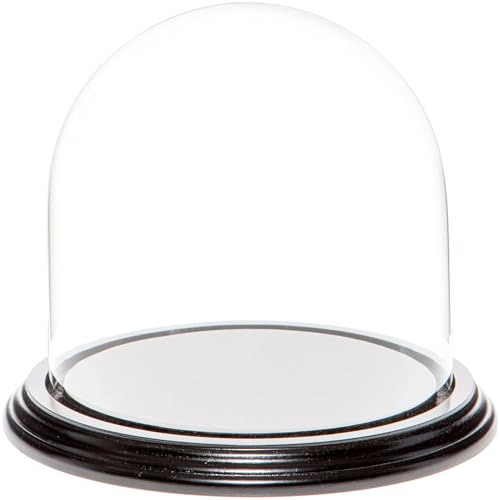 Plymor 5.5" x 5.5" Glass Display Dome Cloche (Black Wood Veneer Base) - color: Black Wood Veneer Base