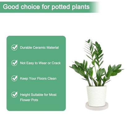 M METERXITY 2-Pack Ceramic Plant Saucer, 6.3 Inch Plant Water Catcher Tray, Plant Pot Saucers for Indoor/Outdoor Plants/Flower Drainage Drip Water Tray [Round Beige] - color: Beige