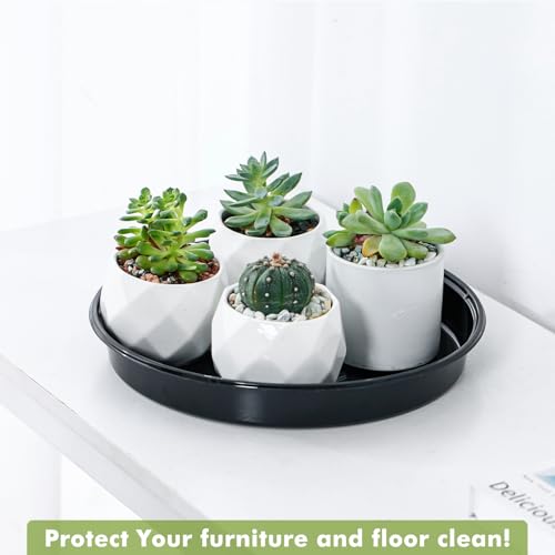 Plant Saucer 30 Pack Plant Trays for Pots 4/6/8/10/12 Inch Plastic Plant Saucers for Outdoors & Indoors Black Drip Trays for Potted Plants Flower Pot Plates to Catch Water Drainage Dishes No Holes - size: 4/6/8/10/12 Inch - 30 Pack