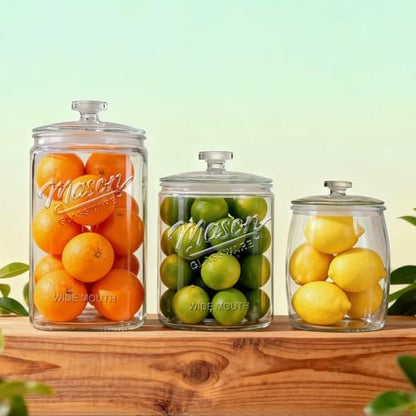 Ritayedet 1 Gallon Glass Cookie Jar with Airtight Lid, Wide Mouth Mason Jar | Wide Mouth, Kitchen Canister for Candy, Coffee, Dog Treat Storage, Terrarium, Apothecary, Laundry Room, BPA Free, Durable - size: 1 Gallon, 1 Pack