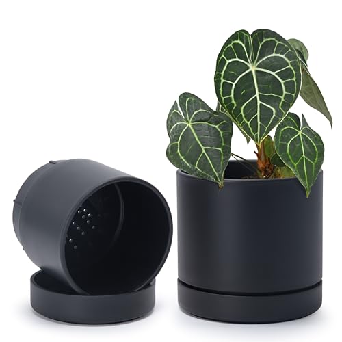Phoenix Vine 6 Inch Planter Pot with Drainage Hole & Saucer, Deep Water Catch Tray, Straight Cylindrical Round Pot for Plants, Matte Black, Pack of 2, 23-C-S-2 - color: Matte Black, size: 6" (2 Pack)