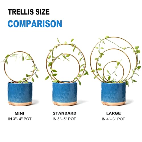 Mirthdino Hoya Trellis- Metal Plant Trellis Indoor 3-Pack for Climbing Plants - Gold Small Garden Trellis for Ivy and Flowers - Unique Patterns - Outdoor Potted Plant Support | Small Plant Trellis for Pots, Hoya Trellis for Indoor Plants, Pothos Trellis I