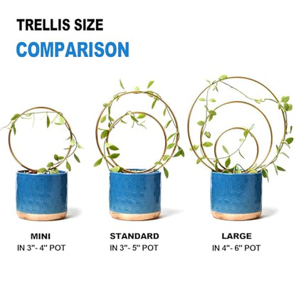 Mirthdino Hoya Trellis- Metal Plant Trellis Indoor 3-Pack for Climbing Plants - Gold Small Garden Trellis for Ivy and Flowers - Unique Patterns - Outdoor Potted Plant Support | Small Plant Trellis for Pots, Hoya Trellis for Indoor Plants, Pothos Trellis I