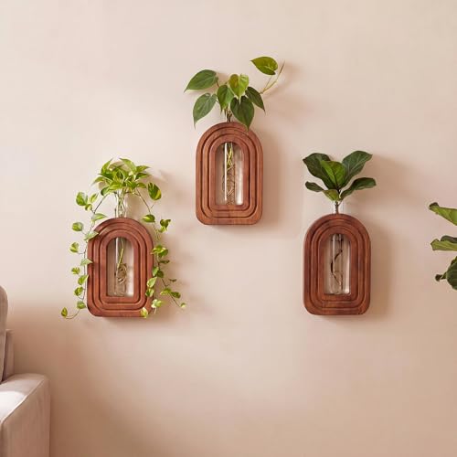 Capoda 3 Pack Wood Wall Planter Arch Propagation Station Wooden Hanging Vase with Glass Tube Boho Rustic Farmhouse Wall Decoration for Indoor Living Room Bedroom Bathroom (Dark Brown) - color: Dark Brown