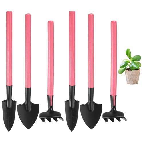M METERXITY 1-Set Mini Gardening Tools, Stainless Steel Miniature Gardening Rake, Trowel, and Shovel for Seedlings/Bonsai/Succulents/Herbs/Terrariums and Planting, Mini Shovel [Pink] - color: Pink