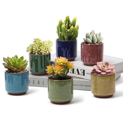 T4U Mini Succulent Pots, Small Ceramic Planters, Retro Gift Set of 6 - size: 2.4"*2.4"