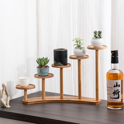 5 Tiers Desk Plant Stand Window Sill Plant Shelf Tabletop Succulent Stand Flower Pot Stand Holder Desktop Plant Stand Indoor Plant Rack for Succulent Herb in Living Room Office (Circle) - size: Circle