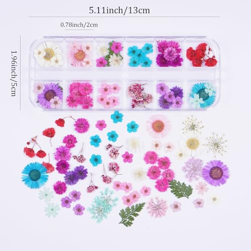 60Pcs Small Dried Pressed Flowers for Crafts,Xinxinran Tiny Dry Flower Kit for Nail Art,Epoxy Resin Accessories,Bookmark,Nails, Jewelry Making,Candle,Soap,Resin Molds(1 Boxs) - color: Blue Purple 60pcs