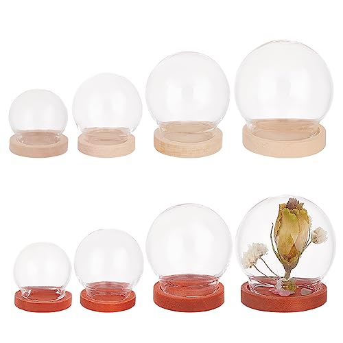8 Sets 8 Styles Clear Round Glass Dome Cover, Decorative Glass Display Bell Jar, Display Case, Cloche Bell Jar with Wheat and Red Base for Plants Keepsakes, 23~35x21.5~36mm