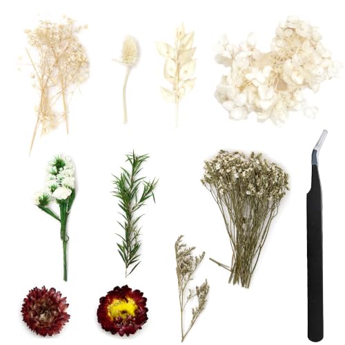 Dried Flowers for Crafts – Natural Dried Flower Kit for Resin, Candle Making, Scrapbooking, Nail Art, Wedding Décor, Pressed Botanical DIY Set for Home Decoration (White) - color: White