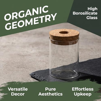 Propagation Stations, Desktop Plant Terrarium Glass Hydroponic Vases, Water Plant Jars, Gardening Gifts for Women Mom Plant Lovers, for Hydroponics Home Garden Office Decoration