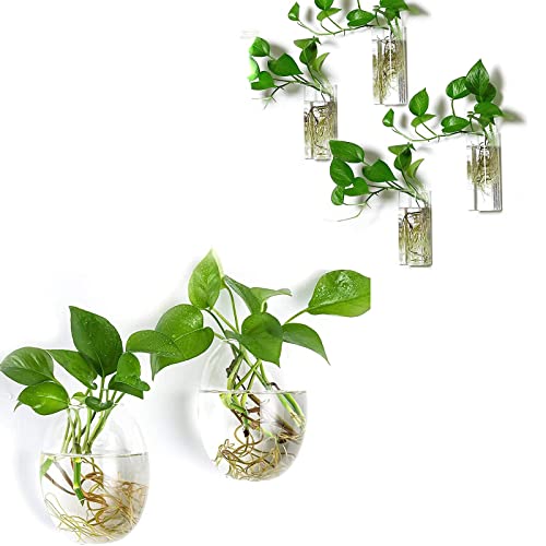 Kingbuy Wall Hanging Glass Planter Flower Vase Plant Propagation Station for Hydroponic Plants Home Office Garden Decor - 2 Egg Shape Plant Terrarium and 4 Square Shape Vase