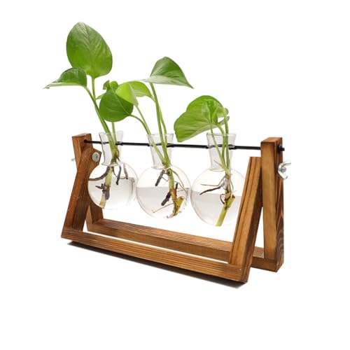 Plant Terrarium with Wooden Stand & 3 Glass Bulb Vases, Metal Swivel Holder Retro Tabletop, Propagation Vases for Indoor Plants, Gardening Gifts for Plants Lovers