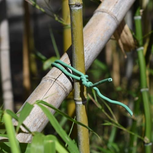 PGarden-EZ Heavy Duty Garden Plant Ties, 250 Feet Soft Twist Ties for Vines Tomatoes, Thick Green Zip Ties for Climbing Plants and Garden Twine - size: 250 feet/ 77 Meters