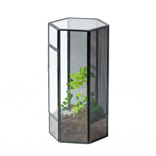 NCYP Small Glass Terrarium with Mesh and Door for Spiders, Hexagon Shape Small Mantis Vented Glass Terrarium 4.9'' x 4.3'' x 9.4'', Tabletop Decor, Black (Plants Not Include)