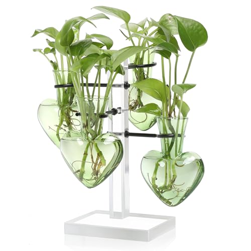 Plants Propagation Stations Plant Terrarium Kit Gift for Women - color: Green