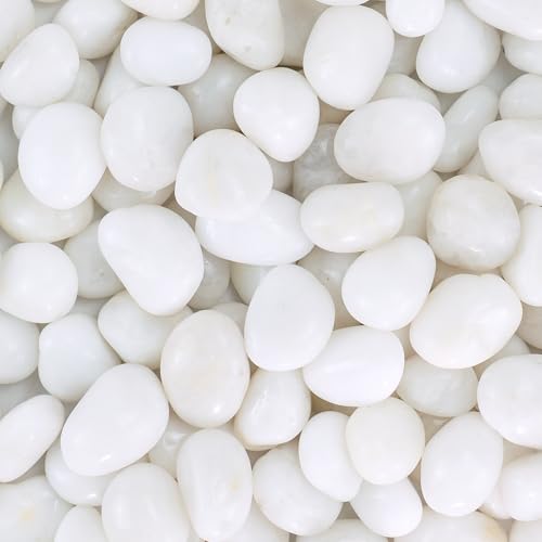 Pebbles for Indoor Plants, 10lbs White Pebbles 0.5-1.2 Inch Decorative River Rocks for Planters, High Polished Stones for Vase Filler Fish Tank Landscaping Garden - size: 0.5-1.2 inch, style: 10 lbs