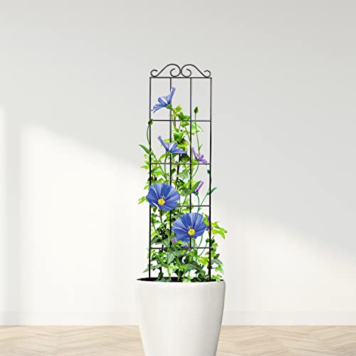 ARIFARO 4Pack 37.5'' Metal Garden Trellis for Climbing Plants Outdoor | Thicken Steel Trellis, For Indoor/Outdoor, Tomato, Cucumber, Rose, Flower, Potted Plants, Houseplants, Climbing Vines, Black - size: 37.5 inches