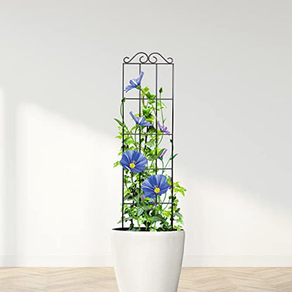 ARIFARO 4Pack 37.5'' Metal Garden Trellis for Climbing Plants Outdoor | Thicken Steel Trellis, For Indoor/Outdoor, Tomato, Cucumber, Rose, Flower, Potted Plants, Houseplants, Climbing Vines, Black - size: 37.5 inches